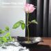 Japanese Ikebana Kit - Ceramic Vase & Frog Holder Set for Floral Arrangements - Buy Online on GoSupps.com
