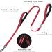 Vivaglory Traffic Handle Dog Leash - Reflective Padded Durable 1.2m Training Line for Dogs - Red - Buy Online on GoSupps.com