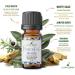 Peaceful Home Essential Oil - House Blessing & Purification | 100% Organic | Crystal-Infused | Restore Balance & Harmony - 0.33 oz - Buy Online on GoSupps.com