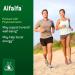 Graminex Alfalfa Tablets - Non-GMO Green Superfood Supplement with Vitamins, Minerals & Amino Acids | 240 Tablets - Buy Online on GoSupps.com