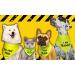 Spoilt Rotten Pets Nervous Please Pass Bandana & Walking A Nervous Dog Please Pass Reflective High Visibility Lightweight Hi Viz Safety Vest - Buy Online on GoSupps.com