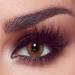 Bella 1 -day Colored contact lenses hazel honey (dioptria -0.00) -10x -covering daily lenses natural color lenses in hazelnut brown perfect for dark eyes without strength