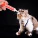MEISH 3 Pieces Pet Pill Syringe Liquid Feeding Dispenser Pill Tablet Feeder Pet Tablet Liquid Feeding Dispenser for Dog Cat Bird - Buy Online on GoSupps.com