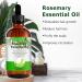 Organic Rosemary Oil for Hair Growth and Skin Care - 120ml Pure Essential Oil for Hair Loss Treatment - Buy Online on GoSupps.com