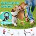 NASJAC Double Dog Leash - No Tangle 360 Rotatable Adjustable Bungee Reflective for Small to Large Dogs - Black & Fluorescent Green - Buy Online on GoSupps.com