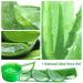 Aloe Vera Gel Organic Moisturizing Cream 300ml Made From Freshly Cut Aloe For All Skin & Hair Types Sun Care With Mask Spoon for Face Body Hair Sunburn Scars Acne Hydrating Cooling Cruelty-free - Buy Online on GoSupps.com