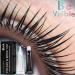 Liber Beauty Lash Tint Kit Eyebrow Eyelash Dye Kit Black At Home DIY Salon Professional Training kit Long Time kept Lash Tinting Black Lasting 8 weeks (Black lash dye kit) - Buy Online on GoSupps.com