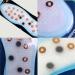 Anti-Odor Acupressure Copper Magnetic Shoes Insole - 1 Pair - Buy Online on GoSupps.com