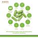 Monte Nativo Bio Gerstengrass Capsules - High-Dose Barley Grass 3000 mg Daily 240 Additive-Free Capsules Made in Germany International Shipping - Buy Online on GoSupps.com