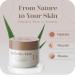 Infinite Aloe Skin Care Cream 237 ml - Perfume-Free International Shipping Available - Buy Online on GoSupps.com