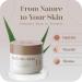 InfiniteAloe Moisturizer - Fragrance-Free Aloe Vera Face Cream for All Skin Types | Huge 2x 8oz + Travel Size 0.5oz Jars | Complete Skin Care Solution - Buy Online on GoSupps.com