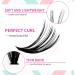 Riya 40D DIY Eyelash Clusters Extensions - D Curl Wispy Lashes Volume - 320pcs Individual Cluster Lashes - At-Home DIY Kit (40D 0.07D 8-15Mixed) - Buy Online on GoSupps.com