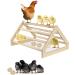 Allazone Wooden Chicken Rod with Rattan Balls - Ideal for Chickens Roosters and Parrots | Durable Bar Seat for Comfort - Buy Online on GoSupps.com