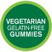 21st Century VitaJoy Gummies Sambucus Elderberry - 60 Vegetarian Gummies for Immune Support - Buy Online on GoSupps.com