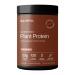 Gainful Everyday Plant Protein Powder 23g Plant Protein per Serving Unflavored Supports Strength Recovery and Balanced Nutrition Vegan Gut Friendly No Artificial Ingredients 14 Servings Plant - Everyday 14.5 Ounce
