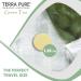 Terra Pure Green Tea Bar Soap Travel Size Hotel Amenities 1.25 oz - Pack of 100 - Buy Online on GoSupps.com
