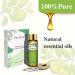 PHATOIL Bergamot Essential Oil 10ML - Undiluted and Cruelty-Free Pure Bergamot Oil - Essential Oils for Diffusers for Home Bergamot 10.00 ml (Pack of 1) - Buy Online on GoSupps.com