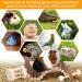 Small Animal Chew Toys Set for Teeth Care - Wooden Accessories for Hamsters, Guinea Pigs, Chinchillas - Rodent Toy Swing, Seesaw, Bridge - Buy Online on GoSupps.com