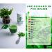 Buy Matcia Therapy 130+ Bio Matcha Tea Powder 60g - High EGCG Content Supports Immunity & Energy - Premium Japanese Green Tea - Buy Online on GoSupps.com