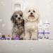 Isle of Dogs Keratin Volume Conditioner 16oz - MultiColor (830-16) - Buy Online on GoSupps.com