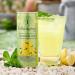 Folkingtons Gently Sparkling Lemon & Mint Presse - 12 x 250ml cans Lemon & Mint Press  - Buy Online on GoSupps.com