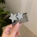 Hair Comb Clips - Shape Hair Finishing Fixer Comb | ABS Upside-Down Comb Hairpin Pentagram Hairpin Hair Finishing Fixer Comb Bridal Hair Pins Hair Accessories For Girls Women - Buy Online on GoSupps.com