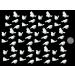 60 x Edible 3D Bird Birds icing toppers cake cupcakes decorations (Bespoke)