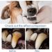 5 Dog Teeth Cleaning Foam | Natural Plaques Off & Tartar Remover for Dogs & Cats - Keep Dog Breath Fresh and Teeth Clean Supports Gum Health Dog Dental Care Targets Plaques and Tartar. Znet-au - Buy Online on GoSupps.com