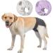 Petmia Washable Dog Diapers Hygiene Underpants for Dogs in Heat | 5 Sizes XS to XL | Black (XL: 60-82cm) - International Shipping Available - Buy Online on GoSupps.com