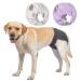Petmia washable diapers for dogs (beige+black+purple) hygiene underpants for dogs in heat 5 sizes XS to XL suitable for all dogs (XL: 60-82cm 3-packs) XL: 60-82cm beige+black+Purple