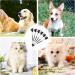 6 Pcs Dog Tear Comb Tear Stain Remover Comb Double-Head Dog Eye Brush Dog Eye Cleaning Comb Dog Eye Comb Brush Pets Grooming Comb Double-Sided for Dogs Cats (Black) Black 6 Pcs - Buy Online on GoSupps.com