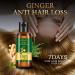Anti Hair Loss Ginger Oil 7 Days Natural Hair Growth Oil Ginger King Nourishing Root & Scalp Serum Thicker & Stronger for Hair Loss  - Buy Online on GoSupps.com