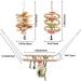 Onebarleycorn Budgie & Parrot Toy Set - 7 Wooden Bird Toys Swings & Canaries for Happy Pet Playtime - Buy Online on GoSupps.com