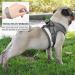 DARENYI Small Dog Harness Set | Adjustable Puppy Vest Harness with Mesh | No Pull Design | Includes 1.2m Lead | Size M Grey - Buy Online on GoSupps.com