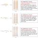 Satvee Waterproof Double Eyelid Tapes Satvee Waterproof Double Eyelid Tapes (1Set) - Buy Online on GoSupps.com