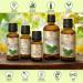 Pine Needle Oil 20ml - 100% Pure & Natural Pinus Sylvestris - Aromatherapy Diffuser & Christmas Tree Scent - Wellness Essential Oil from Austria - Buy Online on GoSupps.com