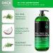 Tea Tree Conditioner 16oz | Hydrating Natural Conditioner for Oily Hair & Dry Scalp - Infused with Vitamin E Coconut Oil & Rosemary - Suitable for Men & Women - Buy Online on GoSupps.com