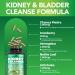 Kidney Cleanse & Bladder Support Supplement for Men & Women 1450mg with Chanca Piedra Cranberry Astragalus - Detox for Urinary Tract Health & Kidney Function - 60 Vegan Capsules 60 Count (Pack of 1) - Buy Online on GoSupps.com