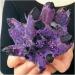 Crystal Rough Natural Purple Ghost Phantom Quartz Crystal Cluster Crystal Druse Specimen Minerals Reiki 600-800g - Buy Online on GoSupps.com