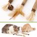 Altcompluser Catnip Sticks for Cats - Dental Care Chewing Toys (3 Pieces) for Tartar & Bad Breath - Healthy Oral Hygiene - Buy Online on GoSupps.com