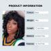 Premium 12-Inch Black Curly Afro Wigs for Black Women | Heat-Resistant Natural-Looking Wigs for Daily Wear Cosplay & Halloween - Buy Online on GoSupps.com