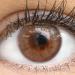 Buy Starch-Free Colored Monthly Contact Lenses - Natural Marsala Brown Soft Hydrogel - 2 Pieces + Lens Container - Buy Online on GoSupps.com