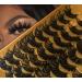 Timelabs 01 25mm Fluffy Lashes Bundle - 20 Pairs of 5D Full Volume Fake Eyelashes in 5 Styles | Wholesale Mink Lashes Collection - Buy Online on GoSupps.com