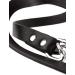 HUNTER Adjustable Leather Dog Leash - Durable & Supple 2.0 x 200 cm Black | International Shipping - Buy Online on GoSupps.com
