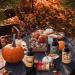 Premium Apple Cider Fragrance Oil 120ml | Essential Oils for Diffusers & Candle Making | Autumn Scented Oil for Halloween & Thanksgiving Gifts - Buy Online on GoSupps.com