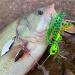 Spinnerbait Fishing Lure Kit for Bass Trout Pike Salmon Walleye - 5pcs/Pack 3/8oz) - Buy Online on GoSupps.com