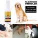 Ardorman Dog Training Spray | Pet Toilet Training Aid | Puppy & Cat Indoor Training Solution - Buy Online on GoSupps.com