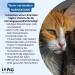 Itiko Urinary Cat Food - Wet Dietary Supplements for Urinary Tract Health & Low pH | Cranberries Rosemary & Sodium Chloride - Buy Online on GoSupps.com