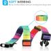 Heele Rainbow Dog Collar - Adjustable & Comfortable Collars for Small Medium & Large Dogs (25-38cm) - Buy Online on GoSupps.com