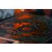 Bicycle Sea King Premium Playing Cards - 1 Deck | Highest Quality Cards for Card Games - Buy Online on GoSupps.com